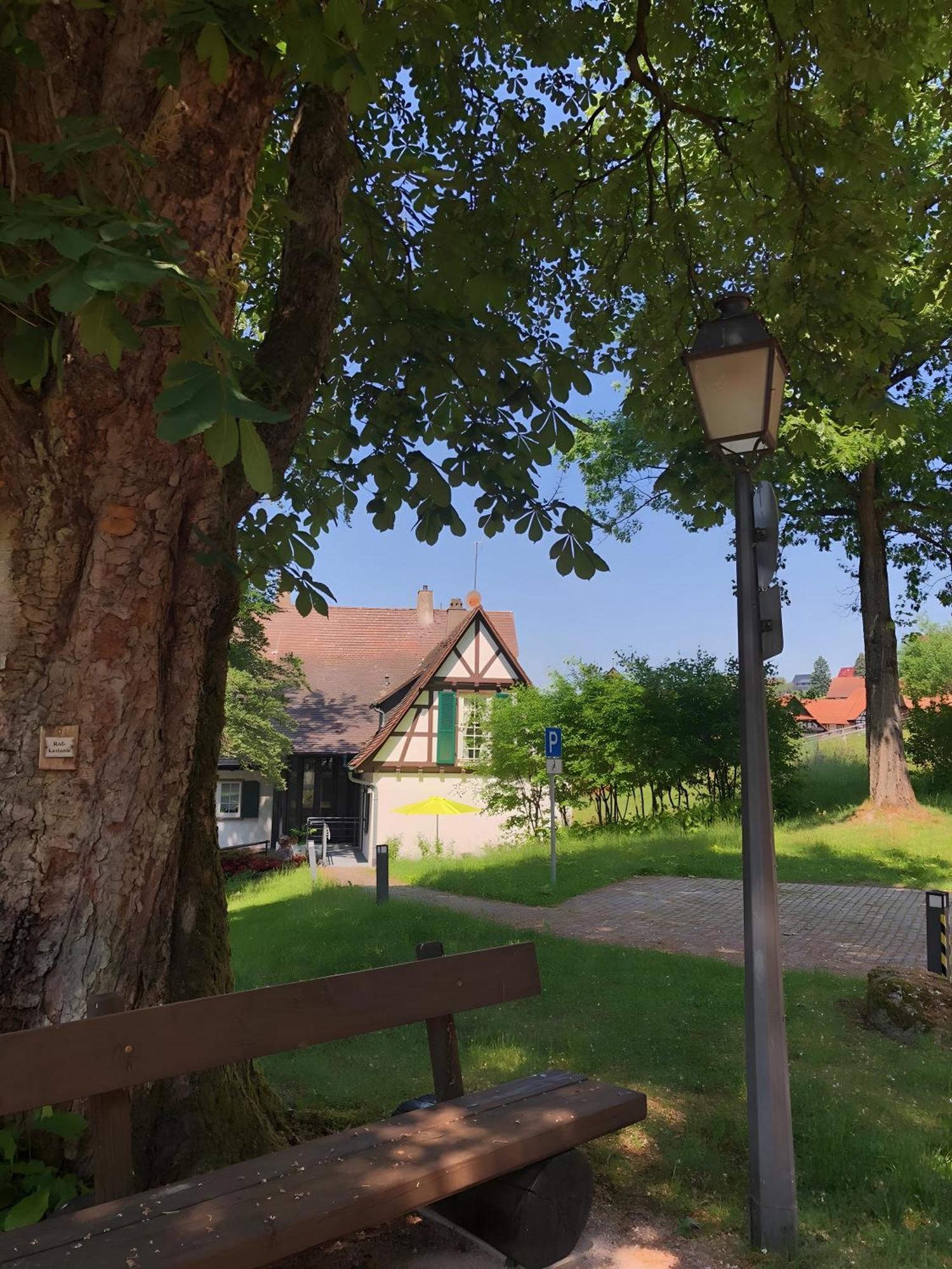 Ferienhaus Am Keschtebaum Sasbachwalden Exterior foto